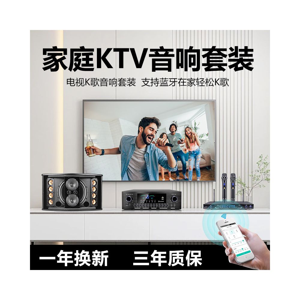 Commercial Home Cinema KTV Sound Amplifier Set Karaoke Song Restaurant Dance Gym Meeting Room Speaker image 5