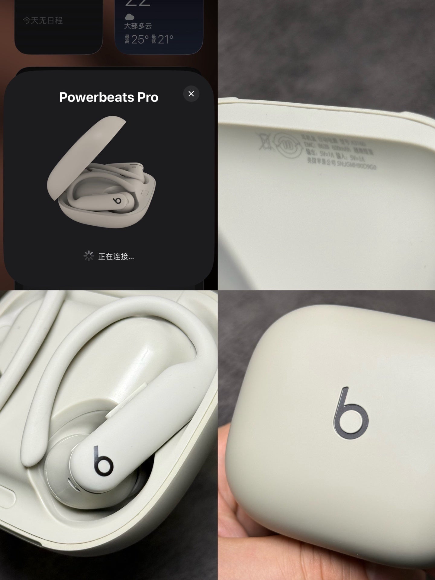 Beats Powerbeats pro 2 earbuds