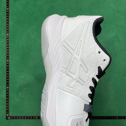 Asics  Sky ELITE FF 2