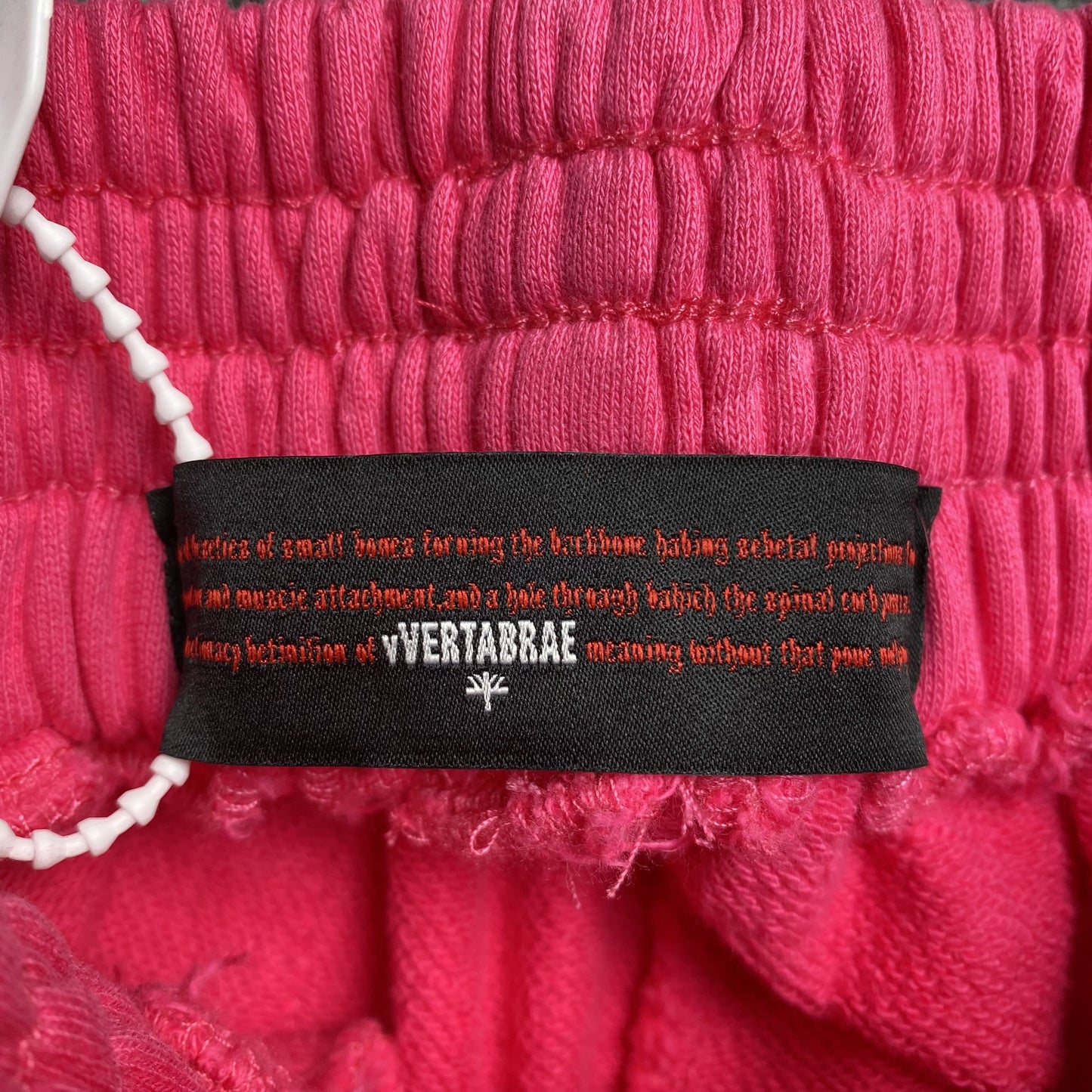 Vertabrae