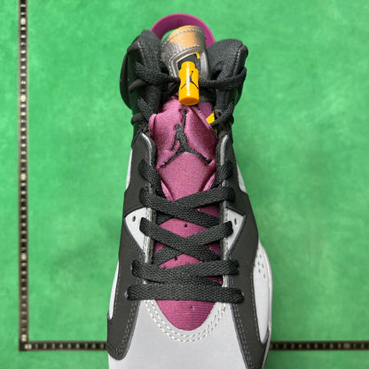 Air Jordan 6 Retro