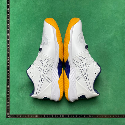 Asics  Sky ELITE FF 2 Tokyo