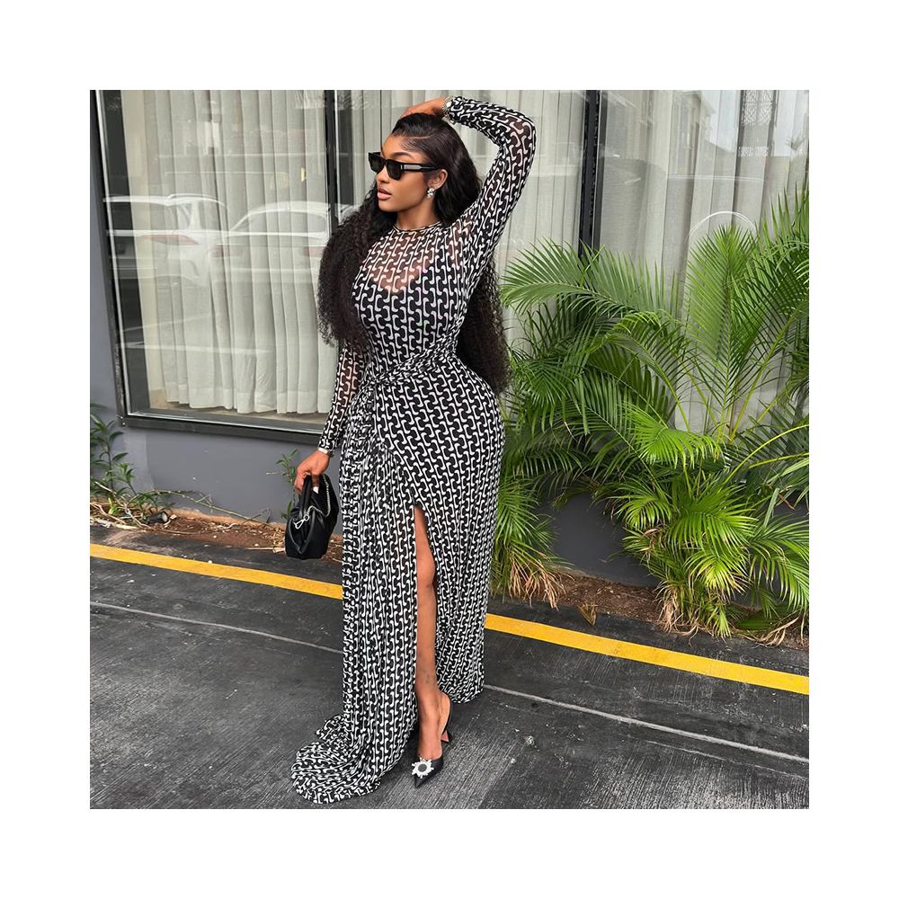 European and American style foreign trade elegant commuter women s dress slit slightly sheer waist cinching hip hugging skirt printed high neck long sleeved dress trendy image 0