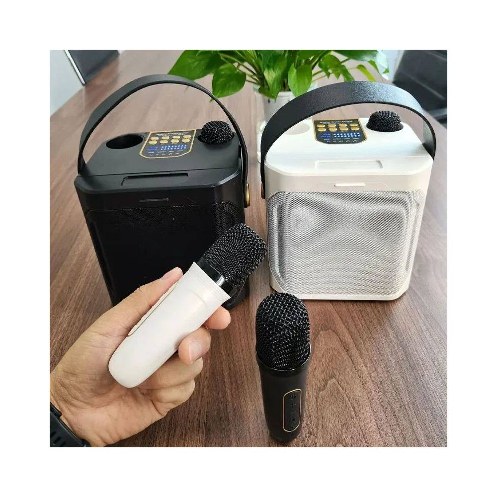 High Power Karaoke Bluetooth Speaker with Dual Microphone Bo image 2