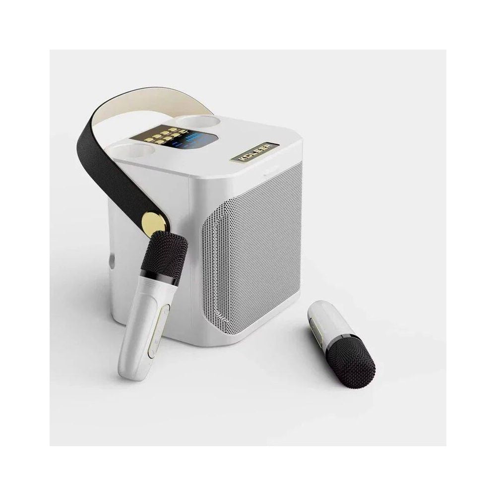High Power Karaoke Bluetooth Speaker with Dual Microphone Bo image 4
