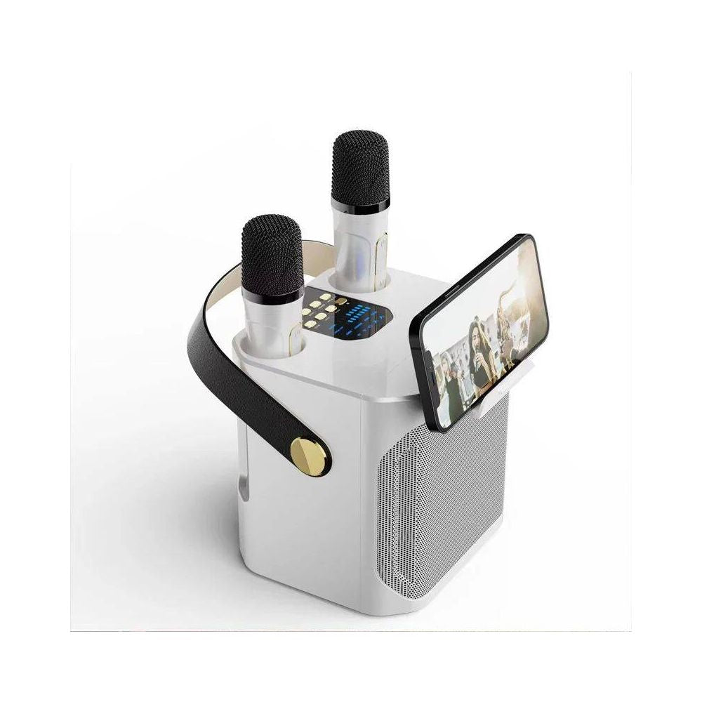 High Power Karaoke Bluetooth Speaker with Dual Microphone Bo