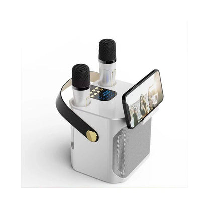 High Power Karaoke Bluetooth Speaker with Dual Microphone Bo