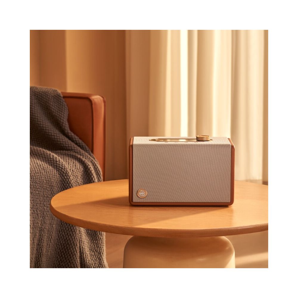 GIEC Q25 Wireless Bluetooth Home Speaker WiFi Audio HiFi Original Sound Quality QQ Music Co branded Version