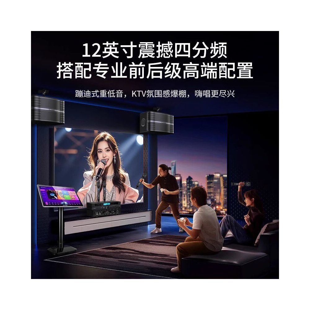 Westin Home KTV Sound System with Four Frequency Point Machine and Wall Mounted KTV Sound System image 3