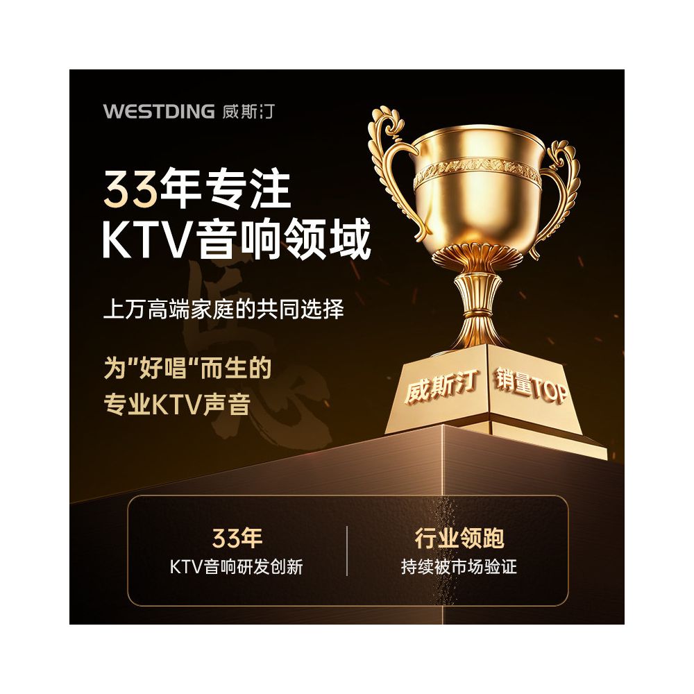Westin Home KTV Sound System with Four Frequency Point Machine and Wall Mounted KTV Sound System
