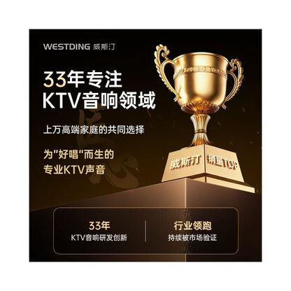 Westin Home KTV Sound System with Four Frequency Point Machine and Wall Mounted KTV Sound System