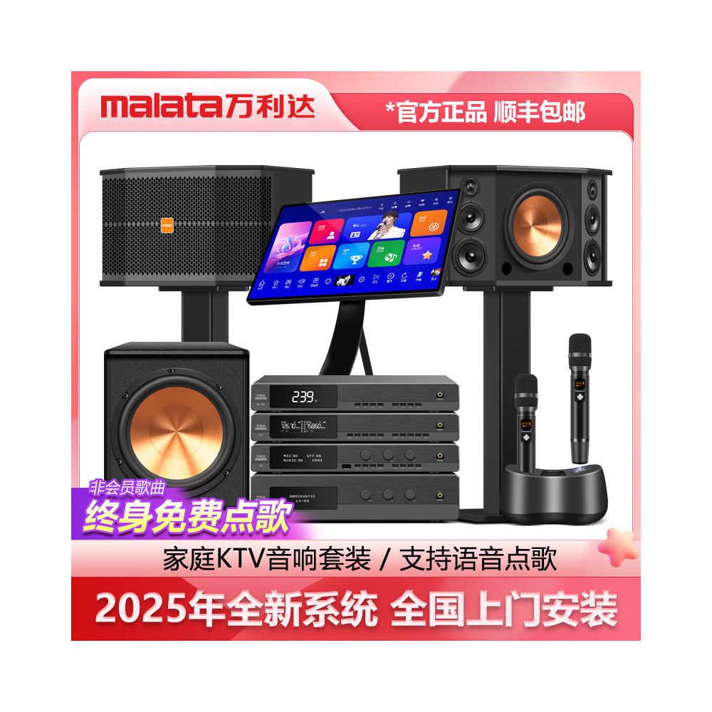 Wanlida Home KTV Sound Set Professional Full Set of Home KTV Living Room Song Ordering Machine Karaoke Speaker Equipment image 3