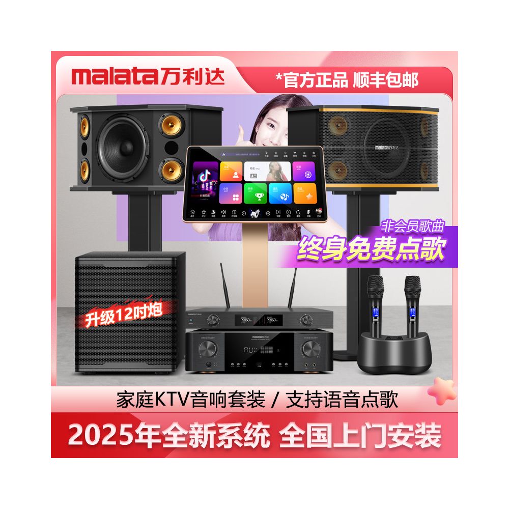 Wanlida Home KTV Sound Set Professional Full Set of Home KTV Living Room Song Ordering Machine Karaoke Speaker Equipment image 5