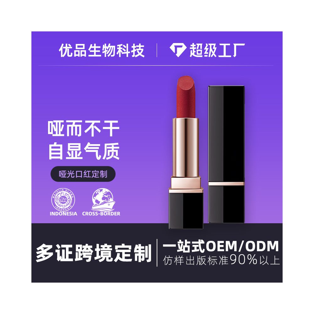 Matte long lasting lipstick cross border customization OEM processing private labeling matte cosmetics and makeup export image 0