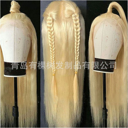 Qingdao Youke Tree Hair Products Co Ltd Hot selling Women s Wigs in Europe and America Front Lace Wigs for Women image 2
