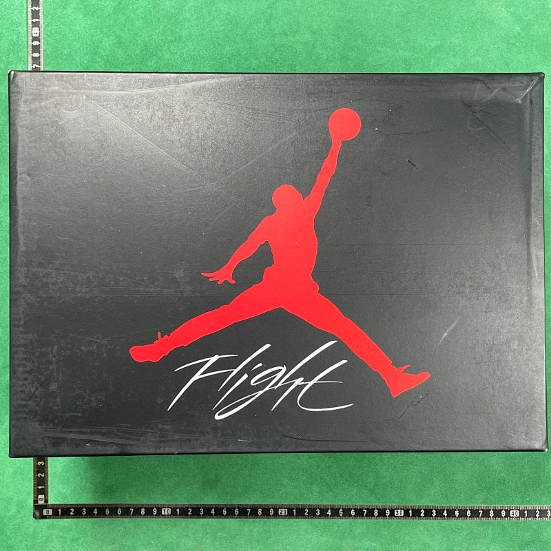 Air Jordan 4 Se