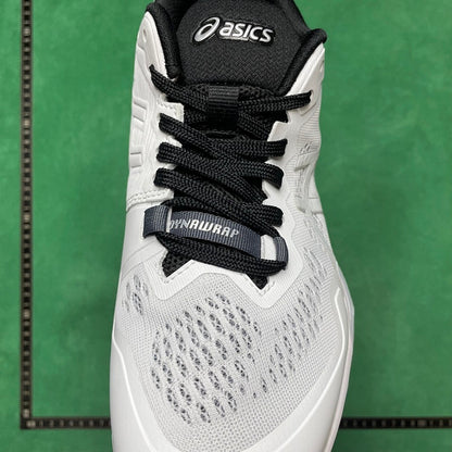 Asics  Sky ELITE FF 2