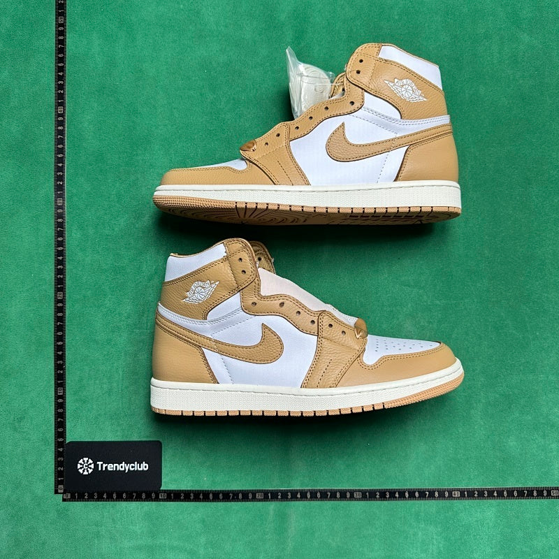 Air Jordan 1