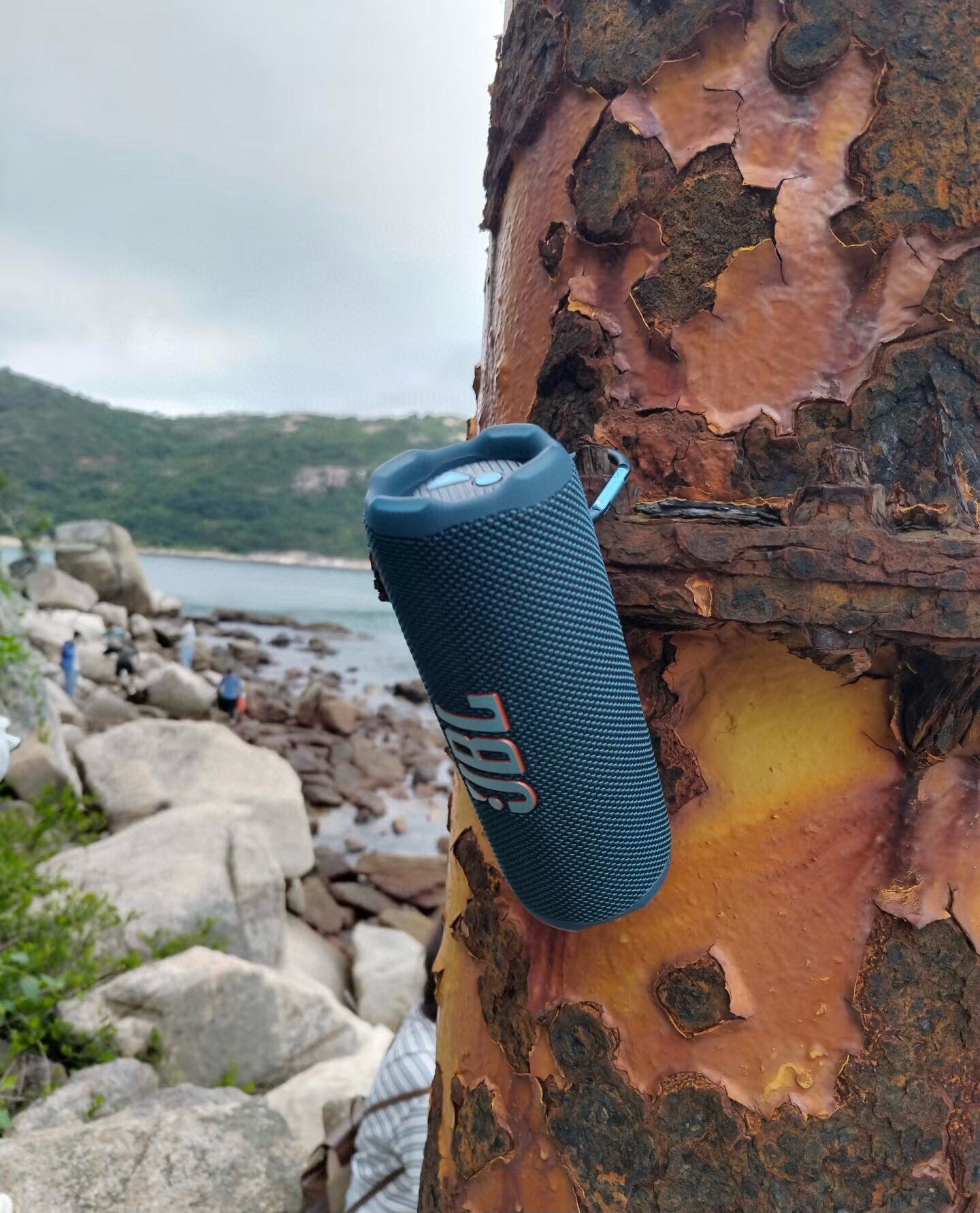 JBL Flip 7