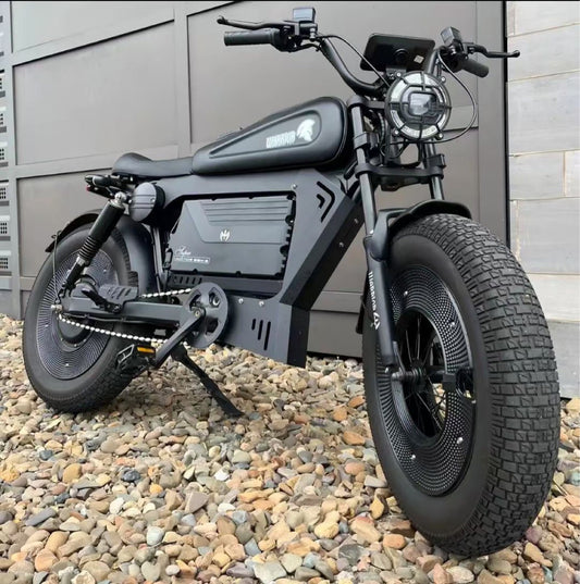 American Warehouse Cross-Border Black Warrior Lithium Battery-Assisted Electric Bicycle Motorcycle Off-Road Fat Tire Snowmobile