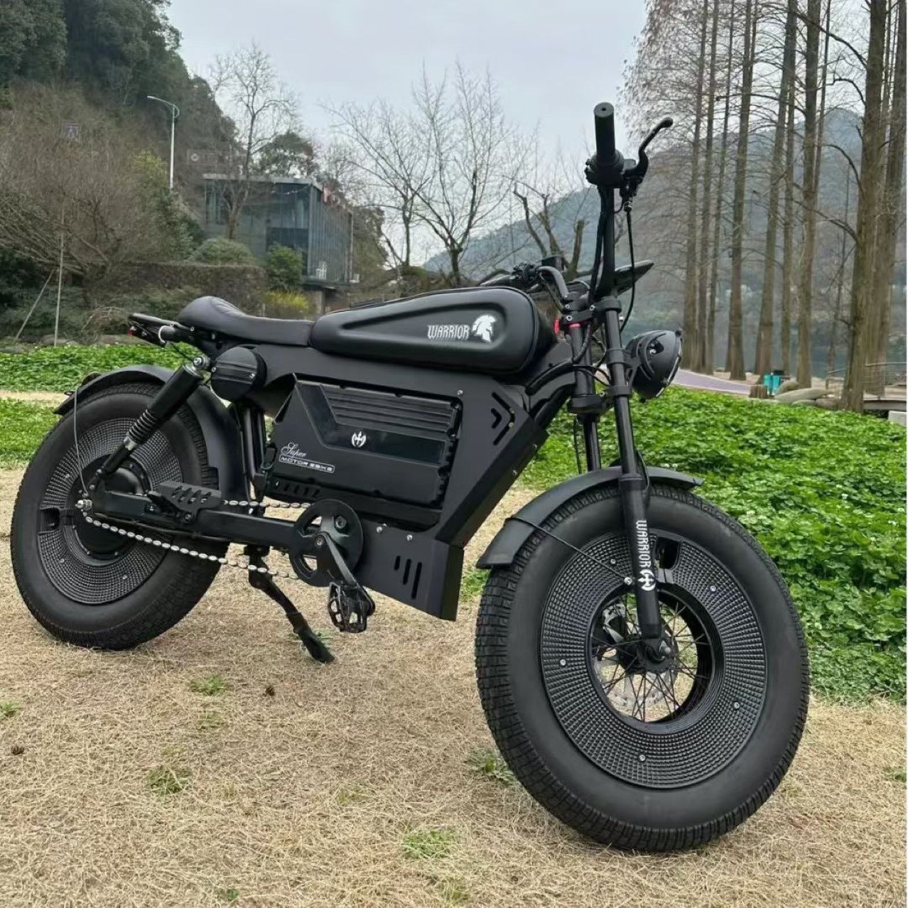 American Warehouse Cross-Border Black Warrior Lithium Battery-Assisted Electric Bicycle Motorcycle Off-Road Fat Tire Snowmobile