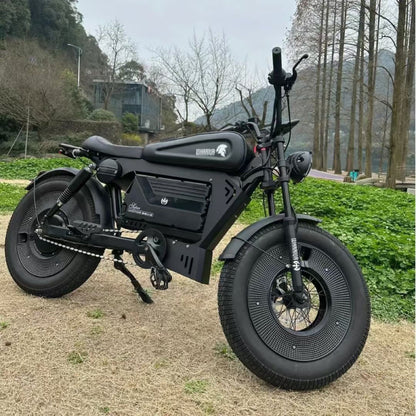 American Warehouse Cross-Border Black Warrior Lithium Battery-Assisted Electric Bicycle Motorcycle Off-Road Fat Tire Snowmobile