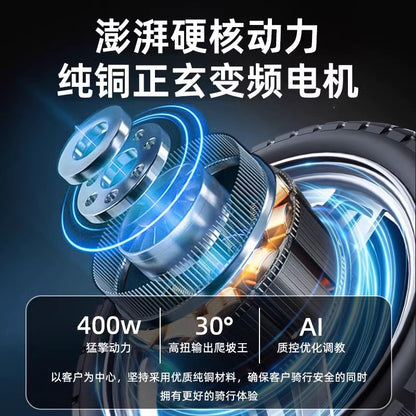Source Factory New National Standard Folding Electric Bicycle Long-Range Electric Vehicle Driving Lithium Battery Moped