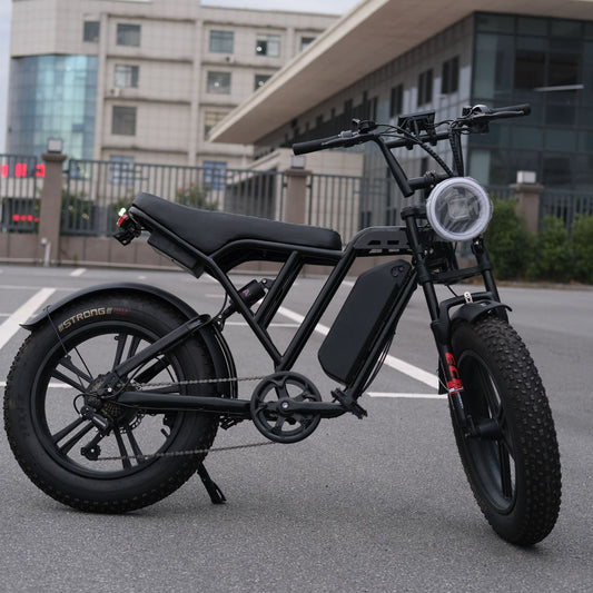 Cross-Border Electric Bicycle Manufacturers Wholesale 20inch Lithium Battery Long-Range Electric Scooters Off-Road Snow and Beach Vehicles