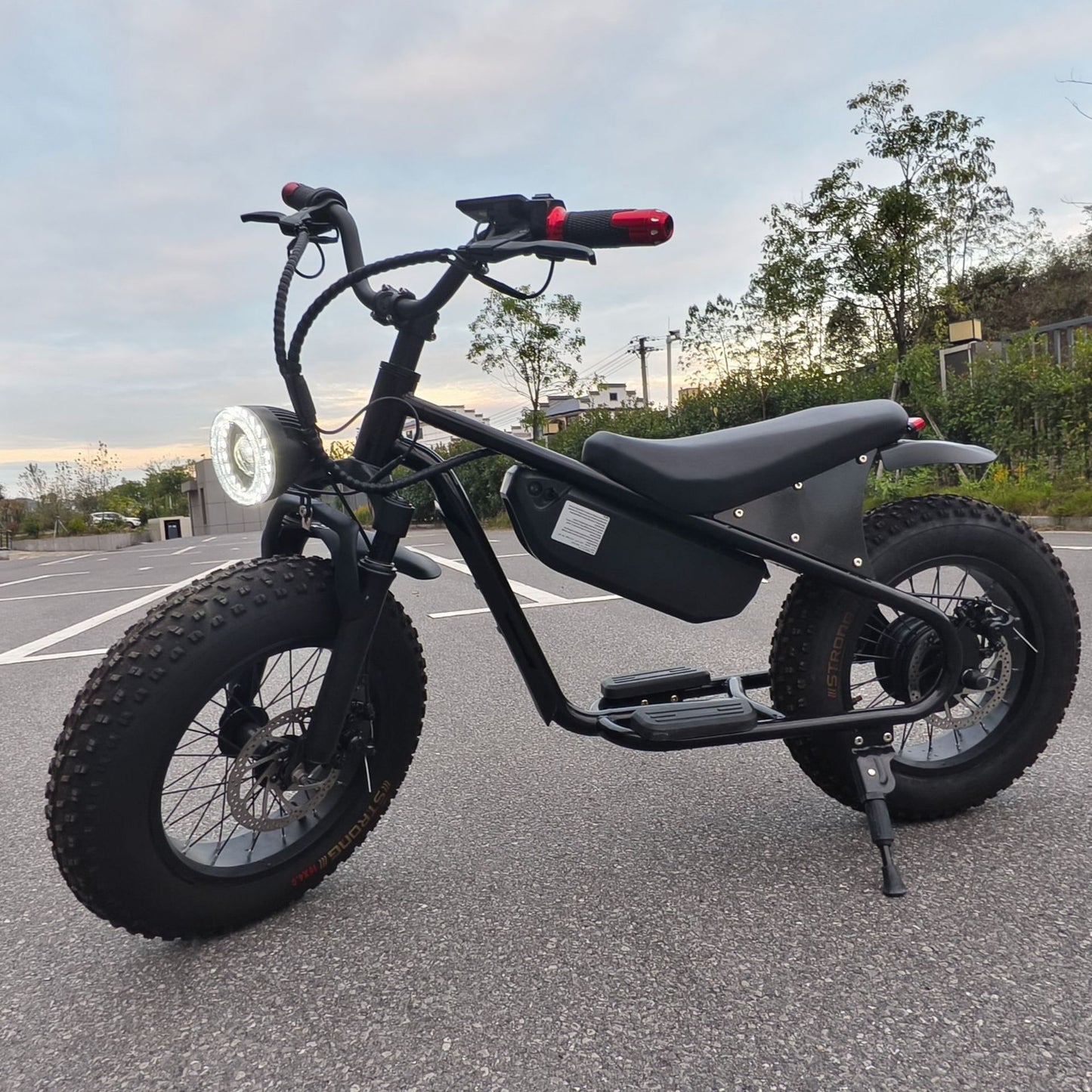 16inch Retro Wide Tire Electric Two-Wheeler Snow Off-Road Beach Lithium Battery Motorcycle Cross-Border Foreign Trade Manufacturer Wholesale