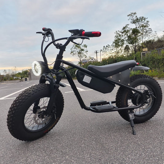 16inch Retro Wide Tire Electric Two-Wheeler Snow Off-Road Beach Lithium Battery Motorcycle Cross-Border Foreign Trade Manufacturer Wholesale
