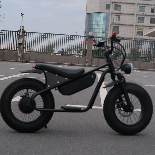 Cross-Border 16inch Wide-Tire Electric Two-Wheeler for Snow, Off-Road, and Beach Use, Lithium Battery Motorcycle, Cross-Border Foreign Trade Manufacturer Wholesale