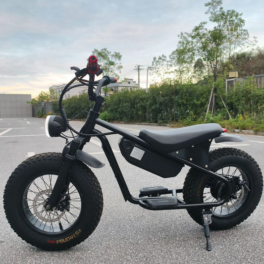 16inch Retro Wide Tire Electric Two-Wheeler Snow Off-Road Beach Lithium Battery Motorcycle Cross-Border Foreign Trade Manufacturer Wholesale