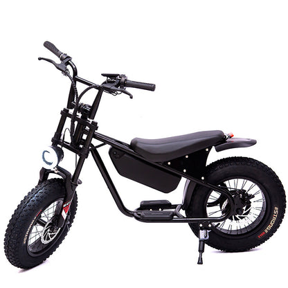L Cross-Border E-Commerce Export 16-Inch Electric Snow Stroller Fat Tire Lithium Electric Bicycle Mini Electric Snowmobile