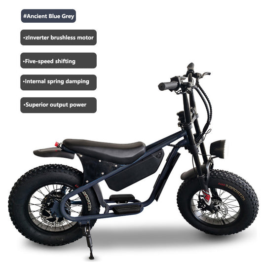 16inch Retro Wide Tire Electric Bicycle Snow Off-Road Beach Lithium Battery Moped Cross-Border Foreign Trade Manufacturer Wholesale
