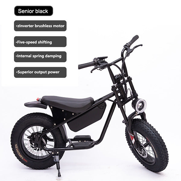 16inch Retro Wide Tire Electric Bicycle Snow Off-Road Beach Lithium Battery Moped Cross-Border Foreign Trade Manufacturer Wholesale