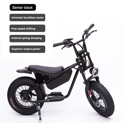 16inch Retro Wide Tire Electric Bicycle Snow Off-Road Beach Lithium Battery Moped Cross-Border Foreign Trade Manufacturer Wholesale