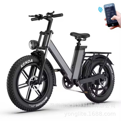 European Dropshipping 20-Inch Aluminum Alloy Wide-Tire Mountain Bike Snow Electric Bicycle Cross-Border Export Battery Bike Electric Vehicle