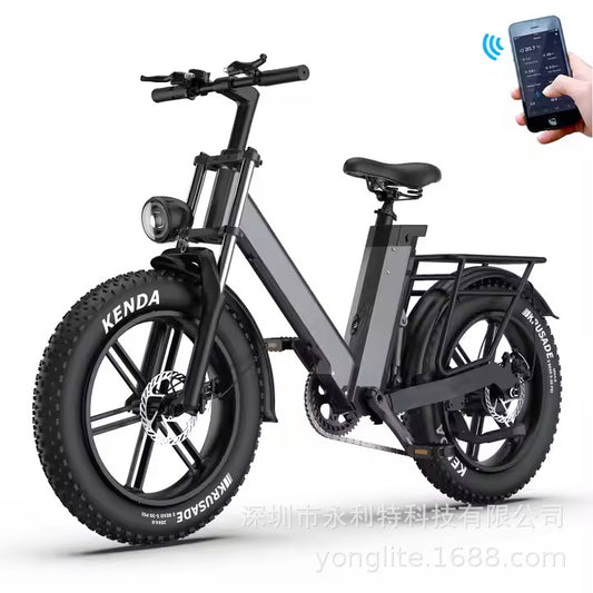 European Dropshipping 20-Inch Aluminum Alloy Wide-Tire Mountain Bike Snow Electric Bicycle Cross-Border Export Battery Bike Electric Vehicle
