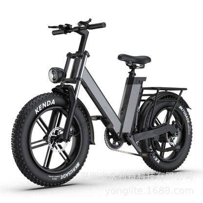 European Dropshipping 20-Inch Aluminum Alloy Wide-Tire Mountain Bike Snow Electric Bicycle Cross-Border Export Battery Bike Electric Vehicle