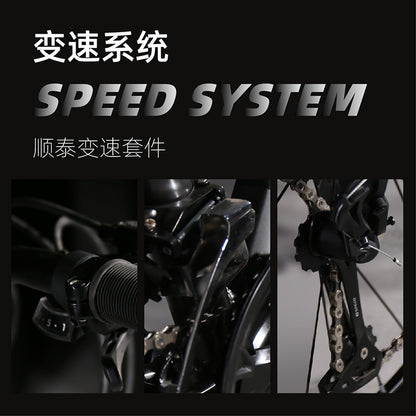 Flying Pigeon Brand Mountain Bike Men's Variable Speed Off-Road Bike Teenagers Middle School Students Ladies Road Racing Adult