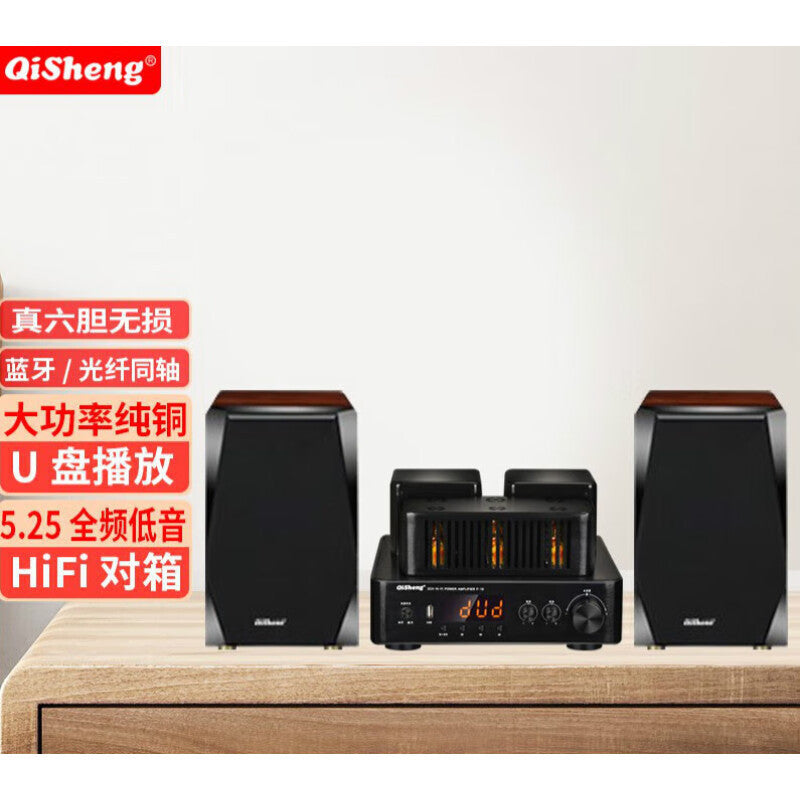 Qisheng Wooden Desktop Bookshelf Hifi Sound Quality High Power High Fidelity Tube Amplifier Passive Hifi Speaker