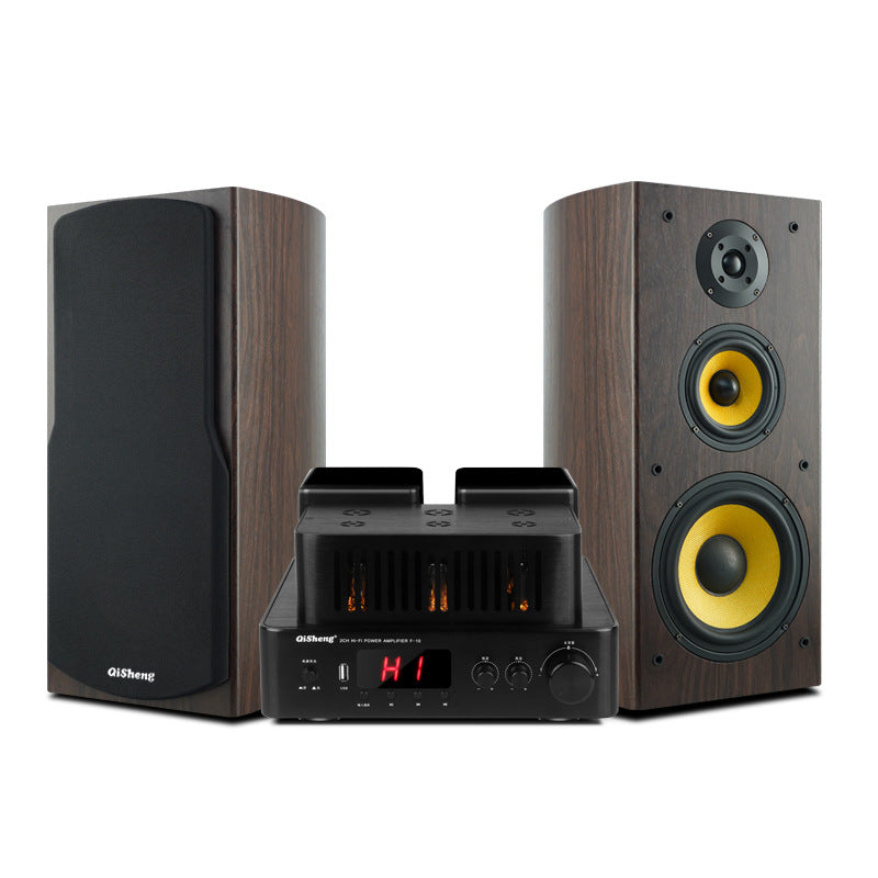 Qisheng Wooden Desktop Bookshelf Hifi Sound Quality High Power High Fidelity Tube Amplifier Passive Hifi Speaker