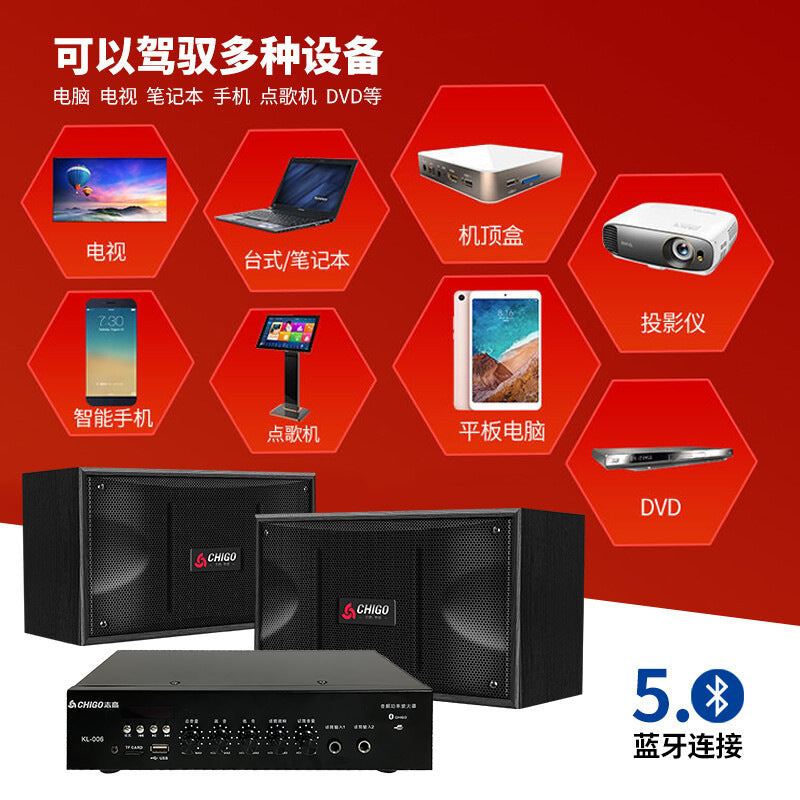 Zhigao new professional 6.5-inch family KTV card holder audio suit karaoke Conference dance room subwoofer