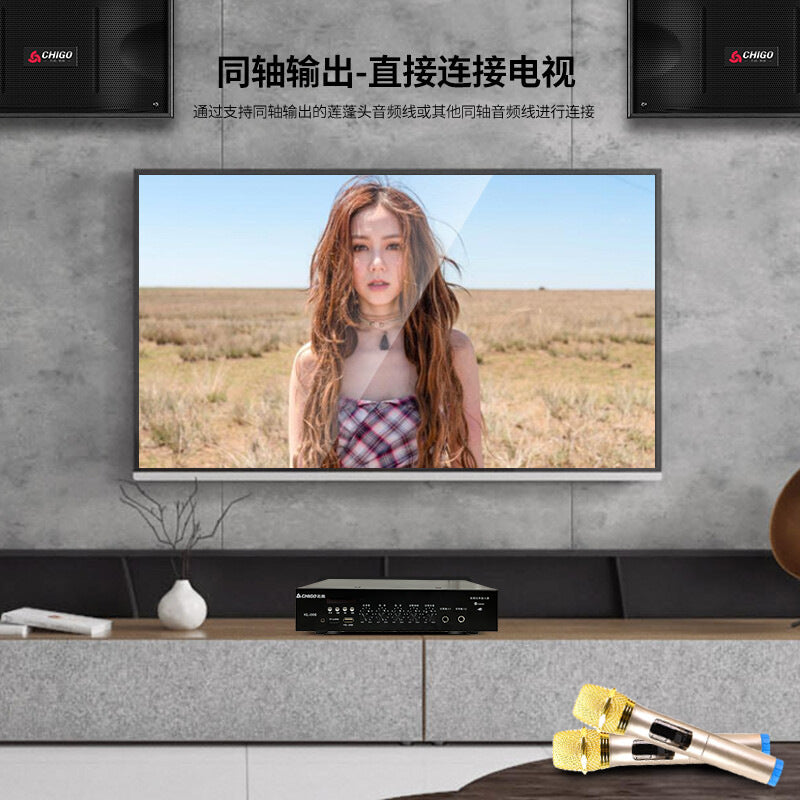 Zhigao new professional 6.5-inch family KTV card holder audio suit karaoke Conference dance room subwoofer