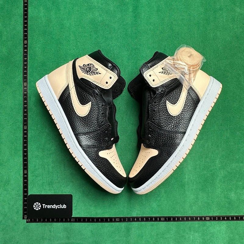 Air Jordan 1