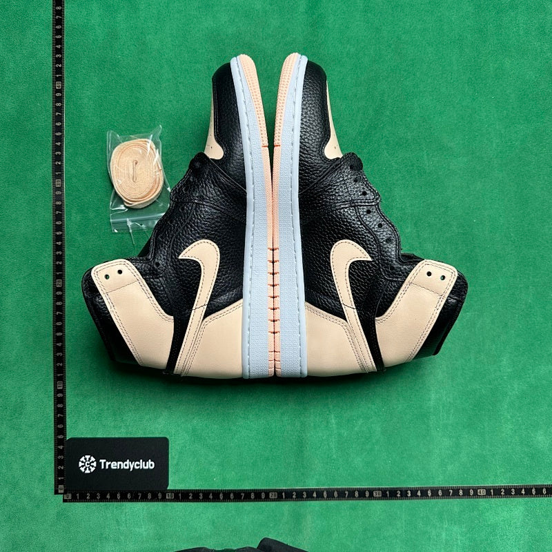 Air Jordan 1