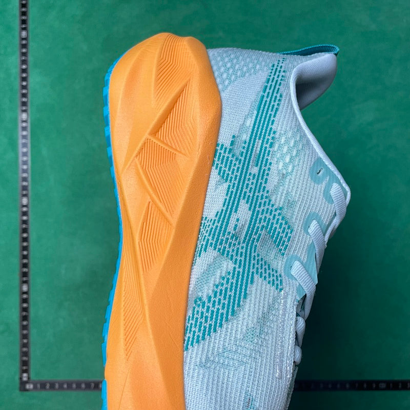Asics -Novablast 5 LE