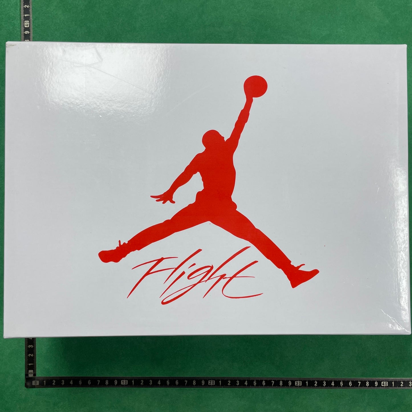 Air Jordan 4 SE