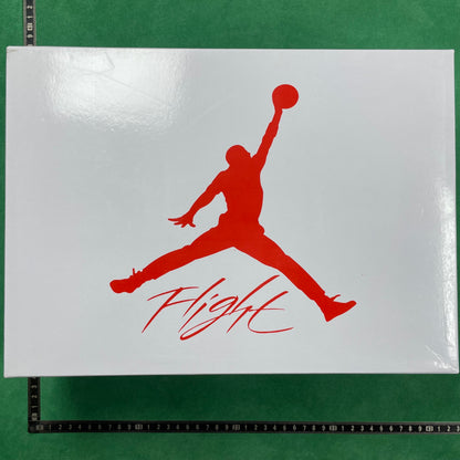 Air Jordan 4 SE