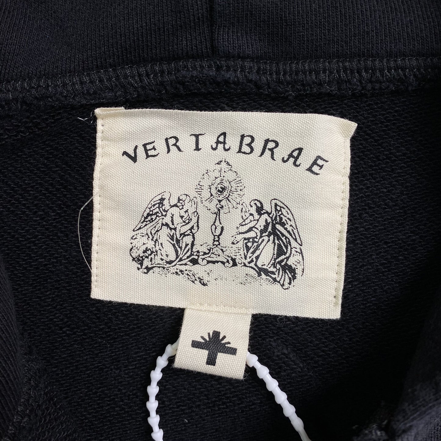 Vertabrae